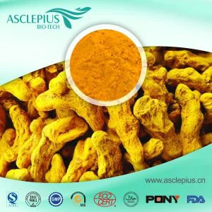 ספק אבקת תמצית כורכום סיטונאי/ תוסף כורכומין