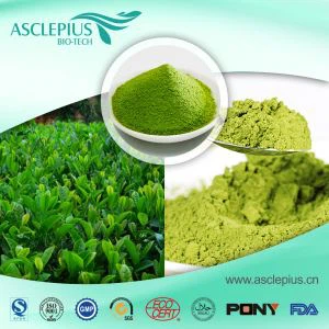 ספק אבקת Matcha תה ירוק אורגני Matcha תה מיידי סיטונאי